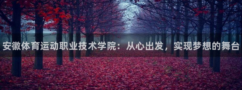 vsport体育官网下载招商:安徽体育运动职业技术学院:从心