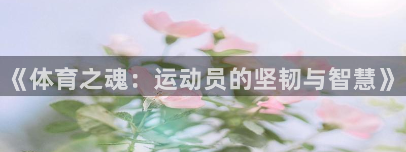 vsport体育官网下载招商:《体育之魂:运动员的坚韧与智慧