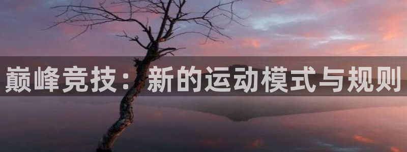 vsport体育官网下载平台是正规平台吗安全吗:巅峰竞技:新