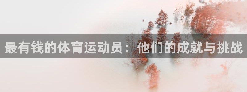 vsport体育官方正版app娱乐首页网站大全:最有钱的体育