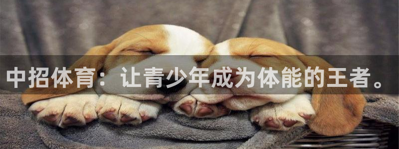 vsport体育官网下载平台假的吗是真的吗吗:中招体育:让青