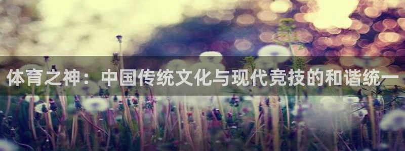 vsport体育官网下载联系电话:体育之神:中国传统文化与现