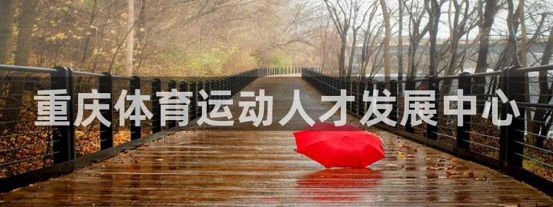 vsport体育官方正版app娱乐是那个系列的台子:重庆体育