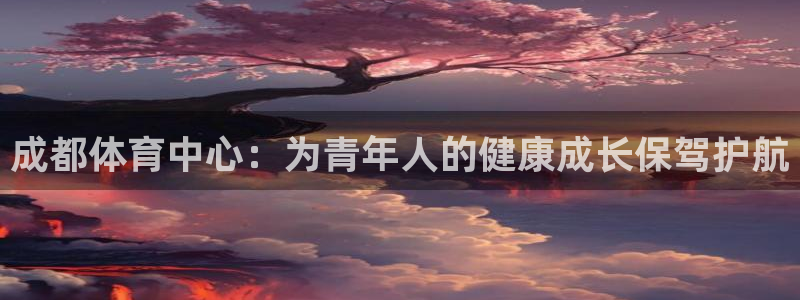 vsport体育官网下载招商电话地址:成都体育中心:为青年人